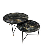 ARK NOCHE PLATEADA CON ORO