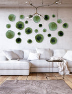 VERDE OLIVO TRASLÚCIDO