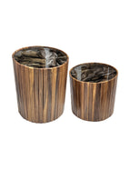 ARK NOCHE PLATEADA CON ORO