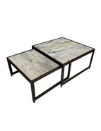 ARK NOCHE PLATINUM BASE NEGRO MATE