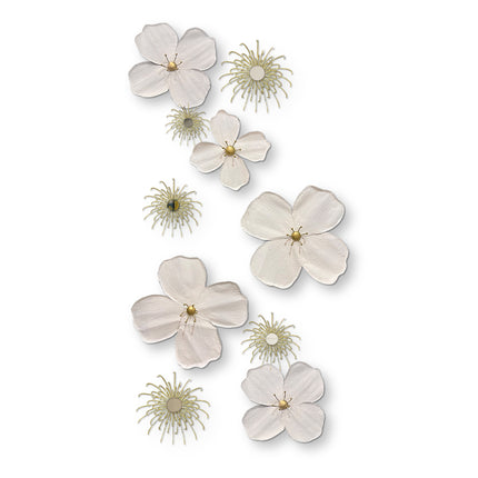 SET ESPEJOS FLORES CAMILA LAMAN 10 PZAS