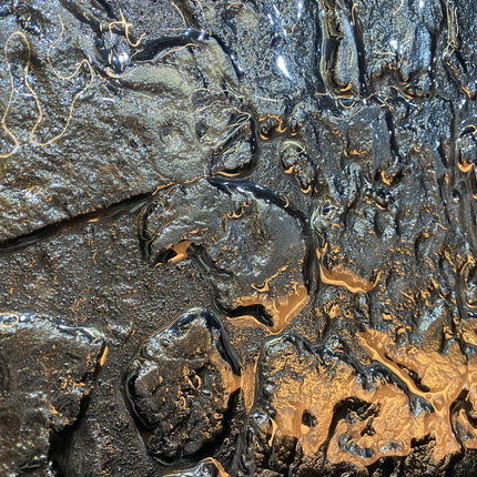 SET FORMOTTI NEGRO MERCURIO 6 PZAS