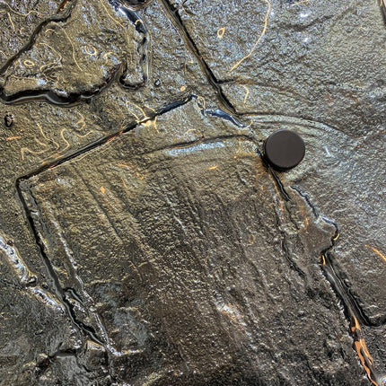 SET FORMOTTI NEGRO MERCURIO 6 PZAS