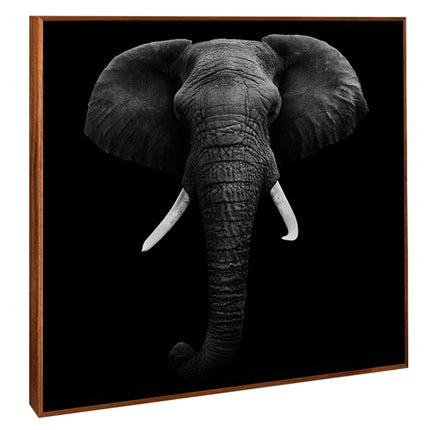 CUADRO MONOCROMATIC ELEPHANT - 116 X 116 CM