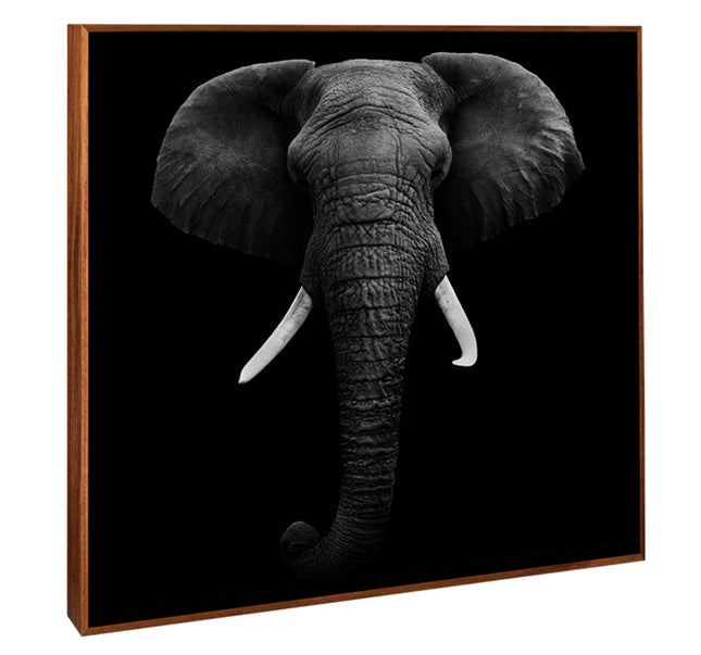 CUADRO MONOCROMATIC ELEPHANT - 116 X 116 CM