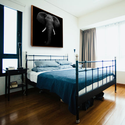 CUADRO MONOCROMATIC ELEPHANT - 116 X 116 CM