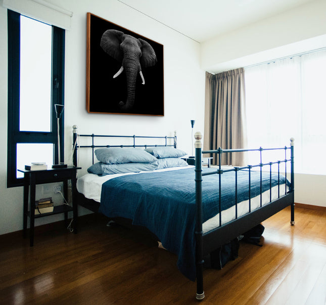 CUADRO MONOCROMATIC ELEPHANT - 116 X 116 CM