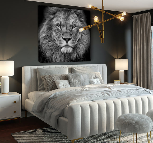 CUADRO MONOCROMATIC LION - 116 X 116 CM
