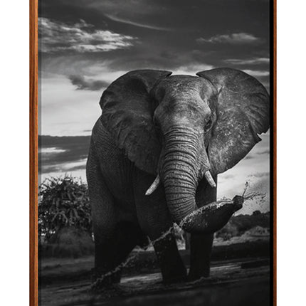 CUADRO ÁFRICA - 126 X 86 CM