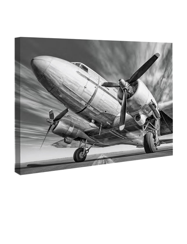 CUADRO VINTAGE PLANE - 86 X 56 CM