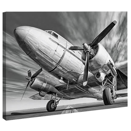 CUADRO VINTAGE PLANE - 86 X 56 CM