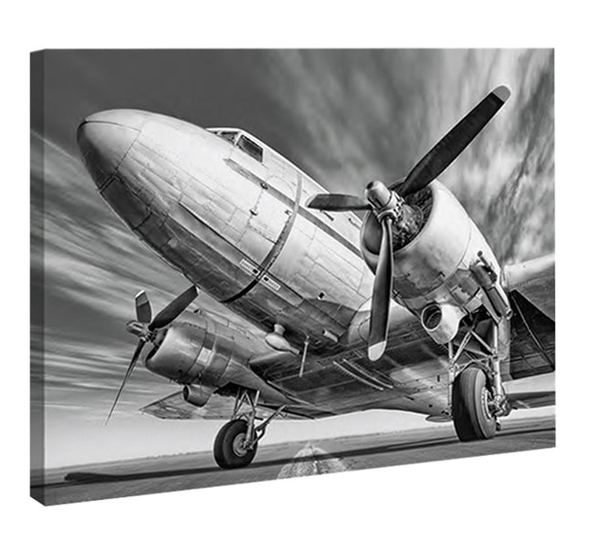 CUADRO VINTAGE PLANE - 86 X 56 CM
