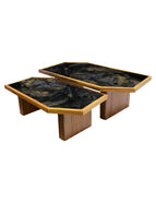 ARK NOCHE PLATEADA CON ORO