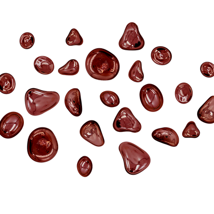 SET LUNETAS 24 PZAS