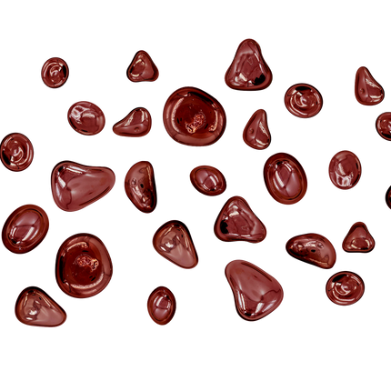 SET LUNETAS 36 PZAS