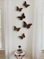 SET MARIPOSAS 6 PZAS