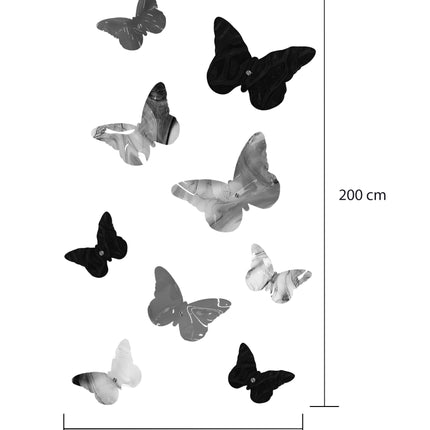 SETS DE MARIPOSAS