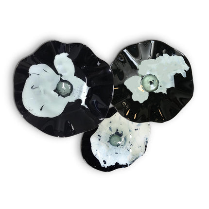 JGO PLATÓN ONDULADO NEGRO AQUA