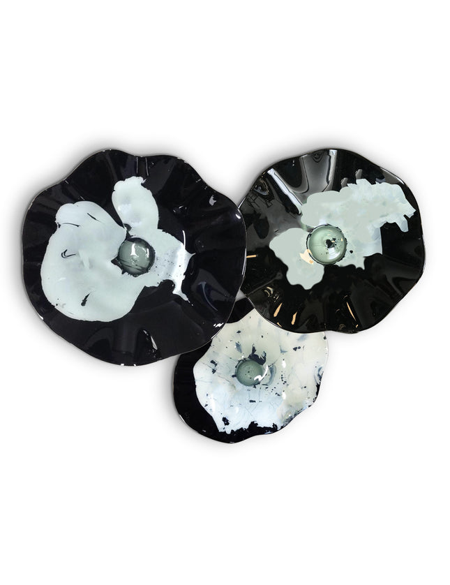 JGO PLATÓN ONDULADO NEGRO AQUA