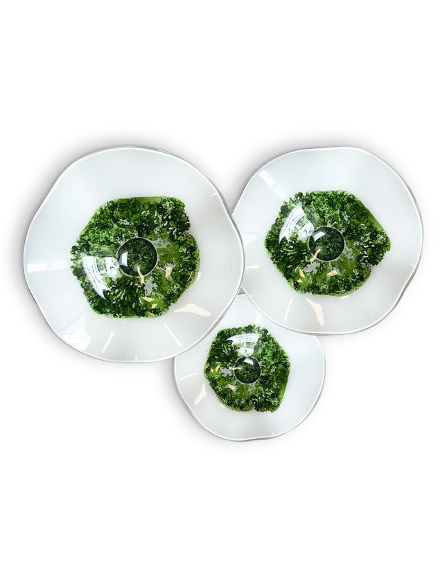 JGO PLATÓN ONDULADO NEVADO VERDE