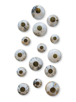 SET PECERAS ARK AVELLANA 15 PZ