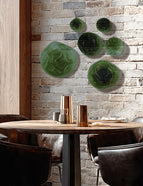 VERDE OLIVO TRASLÚCIDO