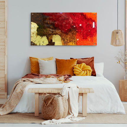 PLACA CHORONA TRASLÚCIDO