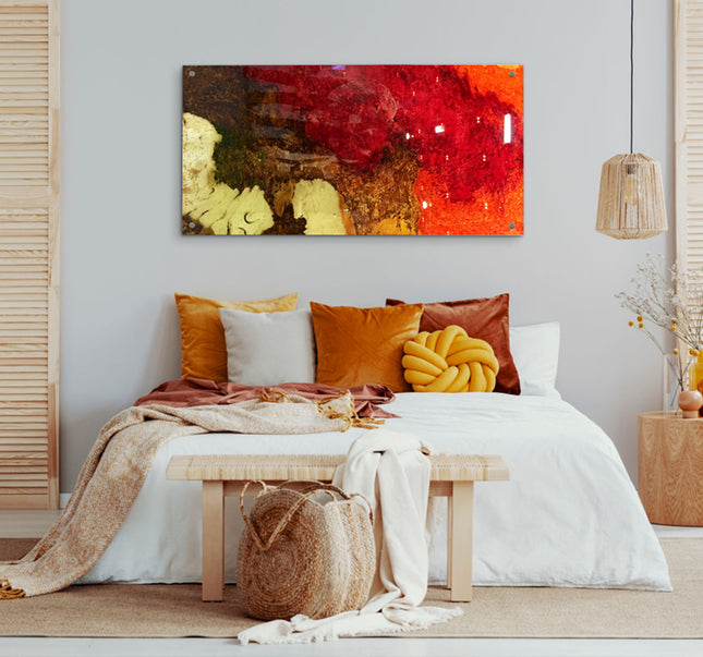 PLACA CHORONA TRASLÚCIDO